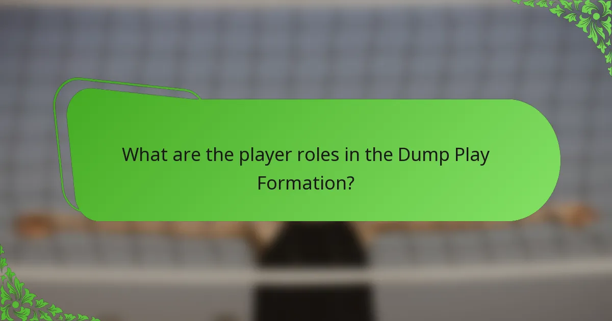 What are the player roles in the Dump Play Formation?