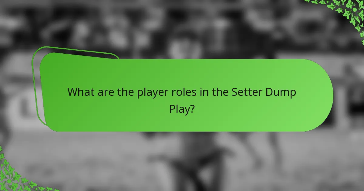 What are the player roles in the Setter Dump Play?